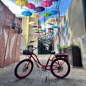 Fundraising Page: Summer Poletti